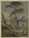 Stone Pines at Sestri, Gulf of Genoa (Ruskin, John - Stone Pines at Sestri, Gulf of Genoa)