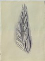 Recto: Study of a Laurel Leaf from a Greek Coin
Verso: Study of a Laurel Leaf from a Greek Coin