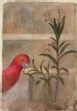 Drawing of a red Parrot and Plant from Carpaccio's "Saint George baptises the Selenites"
