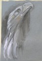 Sketch of an Eagle from Giovanni Pisano's Pulpit in the Duomo, Pisa
