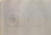 An Exercise on the Outline of a common Snail-Shell (Ruskin, John - An Exercise on the Outline of a common Snail-Shell)
