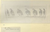 Perspective Study: Birds in Procession on a Greek Vase