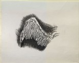 Enlarged Drawing of the Wing of the Angel in Rembrandt's etching of "The Angel appearing to the Shepherds"