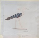 Engraving of a Bird, from a Painting in the Tomb of Baket III at Beni Hasan