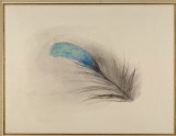 Feather of a Kingfisher's Back, enlarged