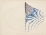 Enlarged Drawing of the Extremity of a Kingfisher's Wing Feather