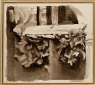 Sepia Sketch of Leafage, further carried: Study from Ruskin's Photograph of the Courtyard of a late Gothic wooden House at Abbeville