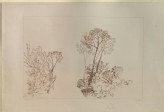 Print of Turner's "Study of Trees"