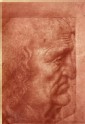 Photograph of a Study of the Head of an Old Man by Leonardo da Vinci