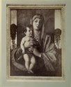 Photograph of Giovanni Bellini's "Madonna degli Alberetti"