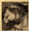 Burgess, Arthur - Cat's Head: enlarged Drawing of Dürer's 