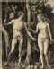 Dürer, Albrecht - Adam and Eve