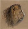 Ruskin, John - A Lion's Profile, from Life