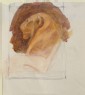 Ruskin, John - Drawing of a Lion's Profile, from an Egyptian Sculpture