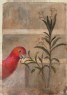 Ruskin, John - Drawing of a red Parrot and Plant from Carpaccio's "Saint George baptises the Selenites"