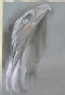 Ruskin, John - Sketch of an Eagle from Giovanni Pisano's Pulpit in the Duomo, Pisa