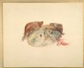 Turner, Joseph Mallord William - Study of Fish