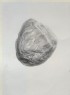 Ruskin, John - Study of a Piece of rolled Gneiss