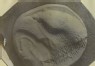 unidentified - Enlarged Photograph of an Eagle's Head on a Greek Coin from Elis