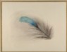 Ruskin, John - Feather of a Kingfisher's Back, enlarged