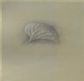 Ruskin, John - Profile of a Violet Leaf, enlarged
