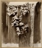 Ruskin, John - First Process of Sepia Sketch of Leafage: Study from Ruskin's Photograph of the Courtyard of a late Gothic wooden House at Abbeville