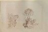 Allen, George - Print of Turner's "Study of Trees"