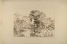 Turner, Joseph Mallord William - Liber studiorum - Berry Pomeroy Castle